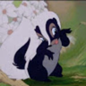 Meet your Posher, Elizabeth ann